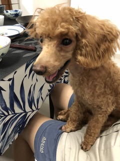 180827 Alice後.jpg