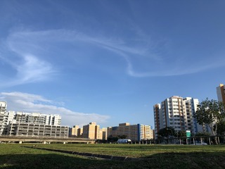 180912 夕方0.jpg