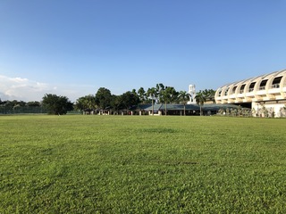 180912 夕方2.jpg