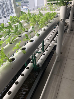210423 植栽1.jpg