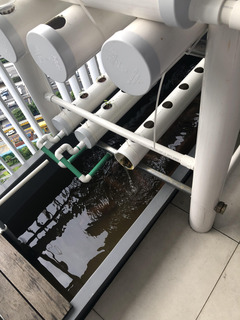210423 植栽2.jpg