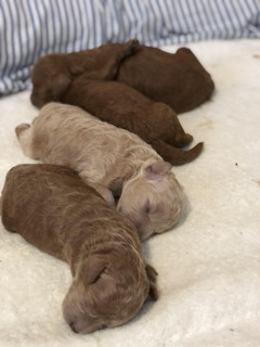 210821 Sleeping.jpg